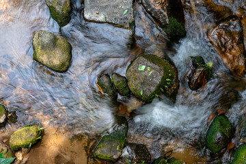 Water flows through many rocks full of moss in the stream. 