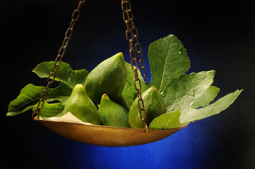 Ficus carica Fichi ft7106_1419 Figs Fico