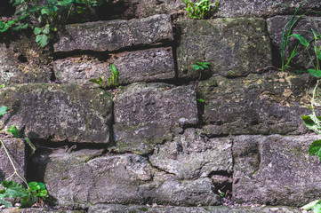 background from the Old darkened wall with granite gray roughly processed rectangular stones close-up with a sprouted green grass between the stones