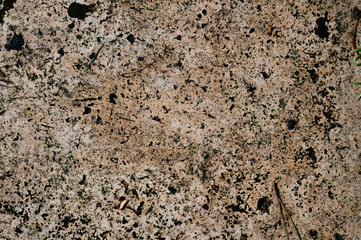 horizontal background of brown textured polished porous stone close up