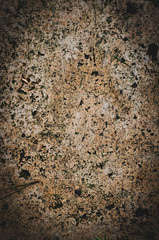vertical background of brown textured polished porous stone close-up