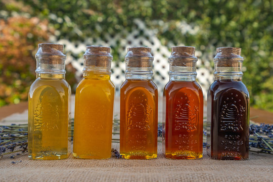 Honey, The Range Of Color And Flavors. Clover, Sunflower, Macadamia, Eucalyptus, And Mimosa Honey.