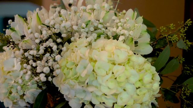 White beautiful flowers in vase.