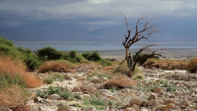 Flash flood in Dead  Sea and Judean Desert