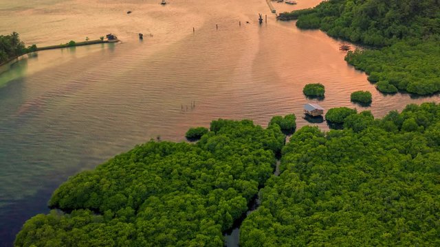 Aerial view of mangrove jungles forest and river on the Siargao island, Philippines. Aerial Drone Timelapse 4K