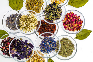 世界のハーブティー　Herbal tea of ​​the world