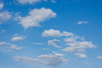 White clouds on the blue sky.