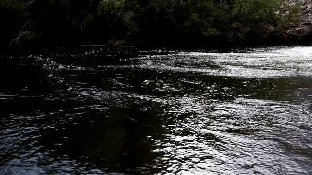 Wide angle footage of a free flowing mountain stream in the western cape of south africa