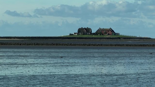 Low Tide on Holm Hooge at the North Sea, Germany.