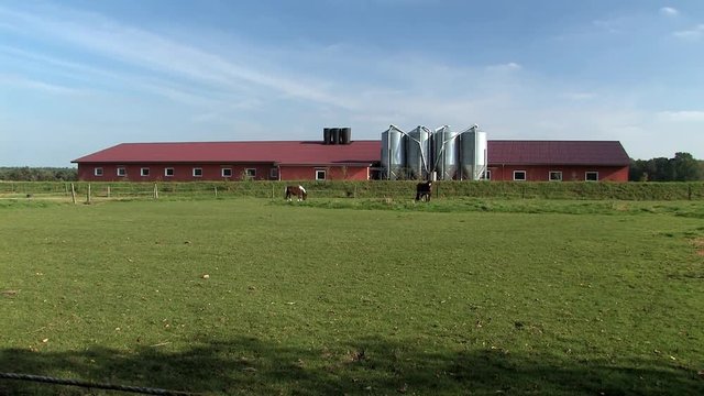 Hen or hog house near Vechta in Germany.
