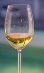 A glass with a golden colored liquid isolated against an out of focus background image with copy space in portrait format