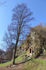 old house in the forest