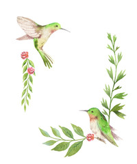 Watercolor vector card green leaves, hummingbird and flowers isolated on white background. © ElenaMedvedeva