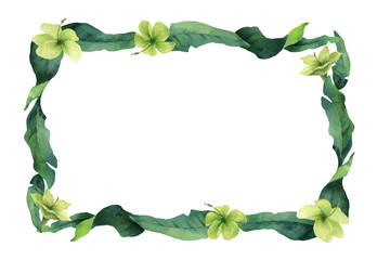 Fototapeta premium Watercolor vector green banner tropical leaves and flowers isolated on white background.