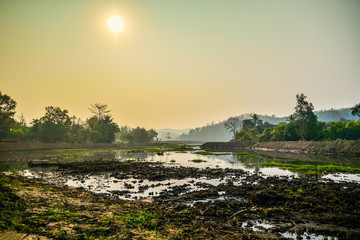 Landscape swamp with mud sunrise in the morning tree and mountain background