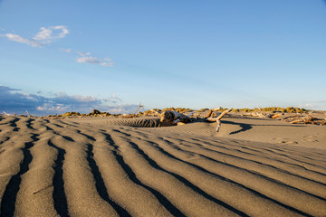 sand dunes at th beach