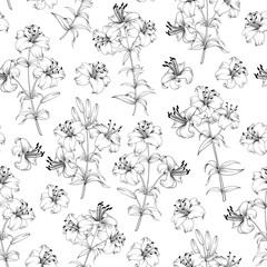 Seamless Pattern of lily flowers. Floral background with blooming lilies isolated on white background. Seamless pattern with blooming lilies. Vector illustration.
