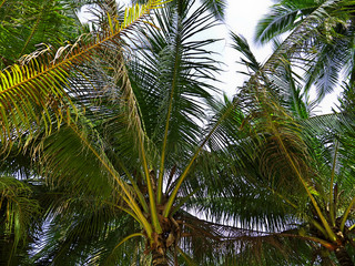 Boracay island, Philippines