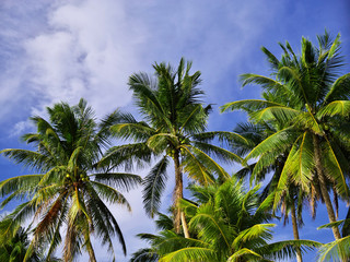 Boracay island, Philippines