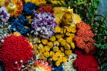 Colorful dried flowers ideal for wallpaper and backgrounds