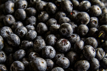 background blueberry black