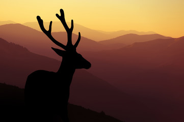 Deer silhouette on mountains background