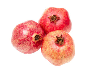 pomegranate fruit on white background