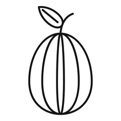 Carambola icon. Outline carambola vector icon for web design isolated on white background