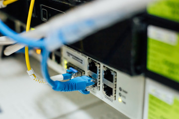 Network cables connected in a technology data center.