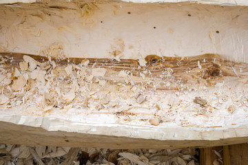 Big log with carved hollow and scattered wood chips during boatbuilding reconstruction