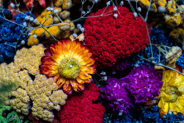 Colorful dried flowers ideal for wallpaper and backgrounds