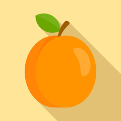 Fresh eco apricot icon. Flat illustration of fresh eco apricot vector icon for web design