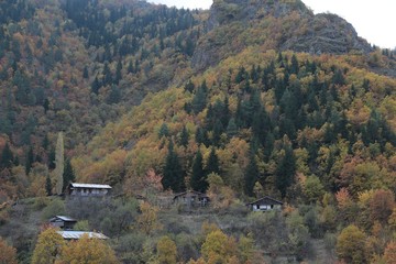 Fototapeta na wymiar Autumn forest and village photos.savsat/artvin turkey 
