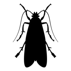 Clothes moth Clothing moth Fly insect pest icon black color vector illustration flat style image