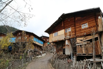 Autumn forest and village photos.savsat/artvin turkey 