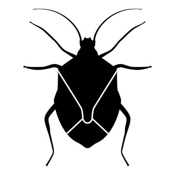 recommend clip art: Bug Bedbug Chinch True bugs Hemipterans Insect pest icon black color vector illustration flat style image
