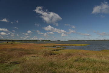 Shores of Poole harbour from Studland Heath near Swanage on Dorset Coast