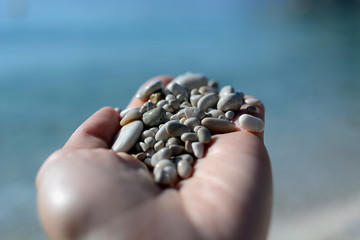 sea pebbles in hand