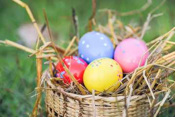 Easter eggs hunt on green grass outdoor