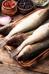 Raw fish with spices