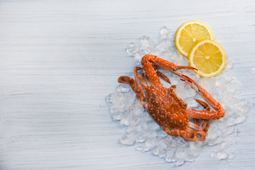 Seafood crab boiled cooked lemon and ice on white wooden background / Blue Swimming Crab