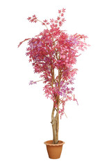 Artificial Japanese red maple branches tree