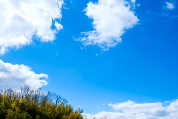 Obraz na płótnie Canvas 【写真素材】 青空　空　雲　冬の空　背景　背景素材　1月　コピースペース　山　森