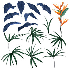 Set of tropical leaves and exotic plants vector