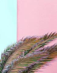 Palm tropical pastel colours design. Canary island. Fashion Travel vibes