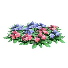 Plants 3d illustration isolated on the white background