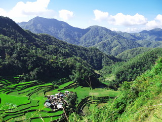 rice terraces, Banaue, Batad, Bangaan, Philippines