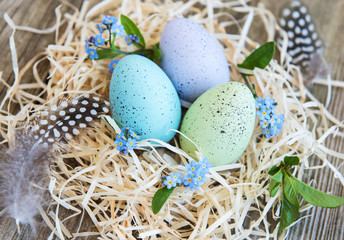 Fototapeta na wymiar Nest with easter eggs