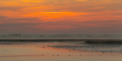 Lever de soleil sur la baie de Somme près de Saint-Valery