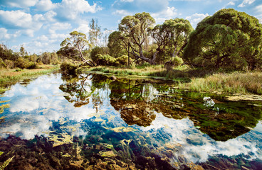 Naklejka na ściany i meble a pond with reflection of sky and trees